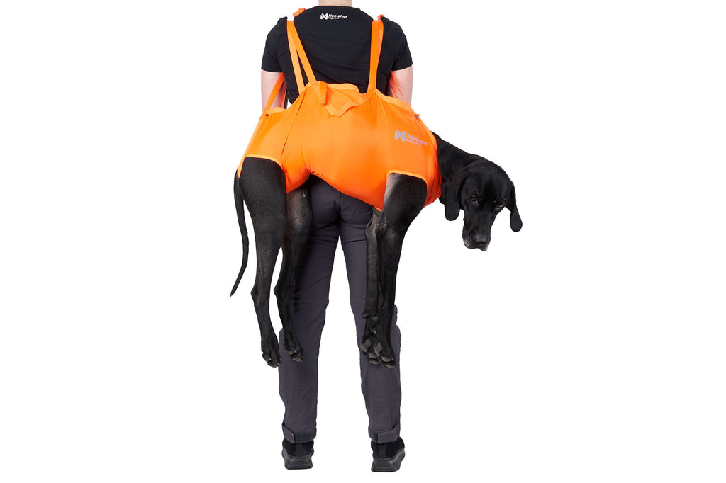 Dog rescue sling product image