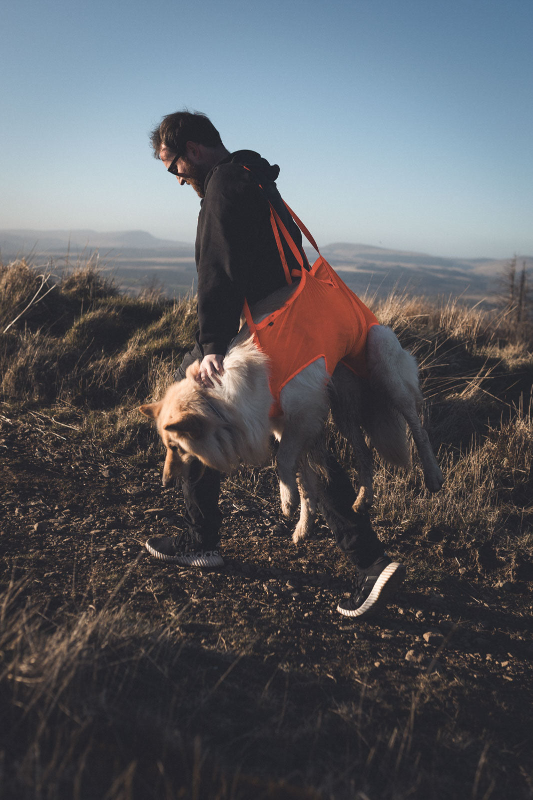 Dog rescue sling product image