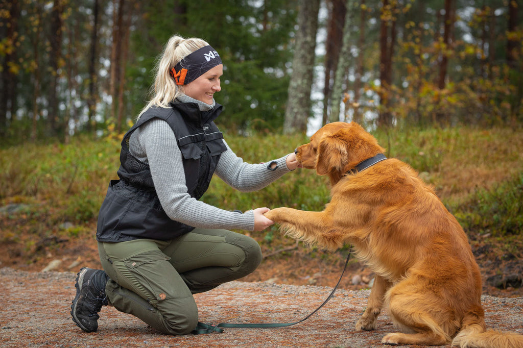 Dog training vest product image