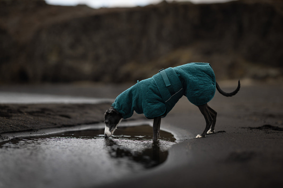 Drying coat product image