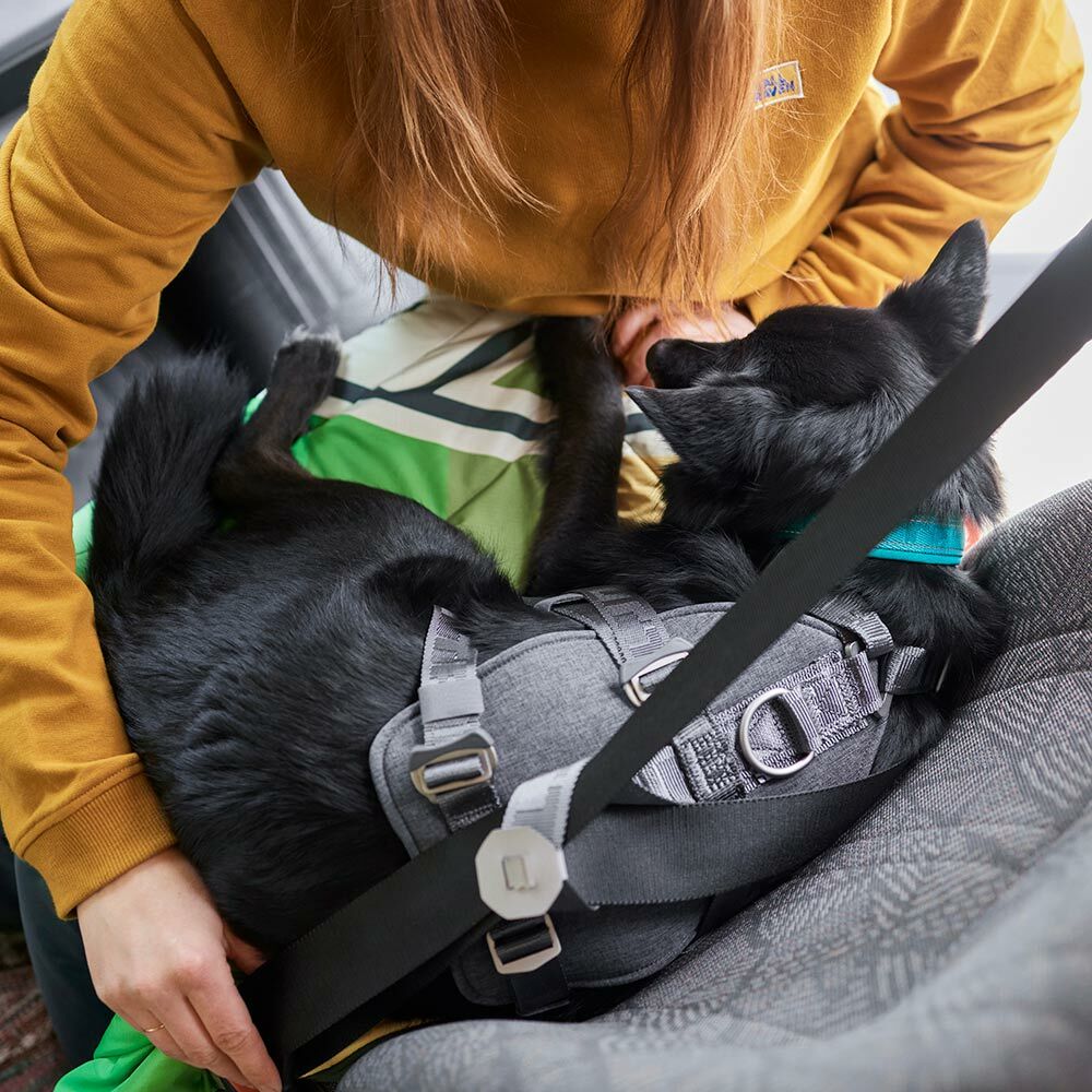 Travel Harness ECO product image