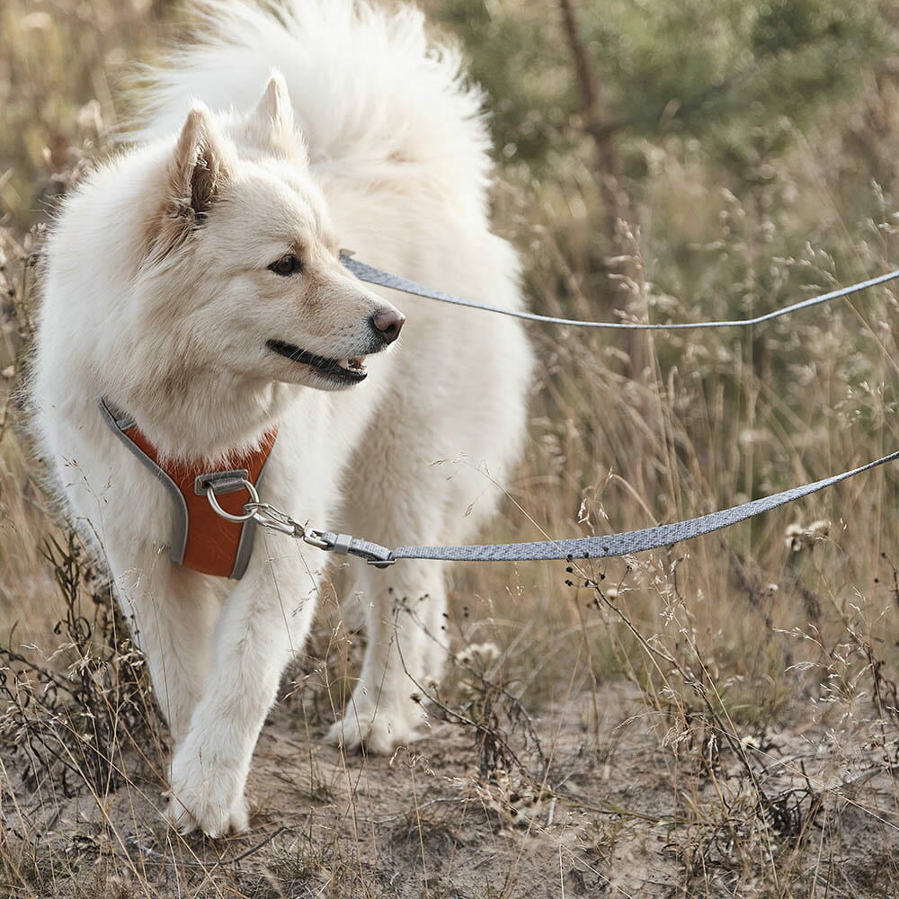 Venture No-Pull Harness product image