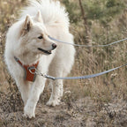 Venture No-Pull Harness product image