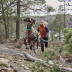 Casual Y-Harness ECO product image