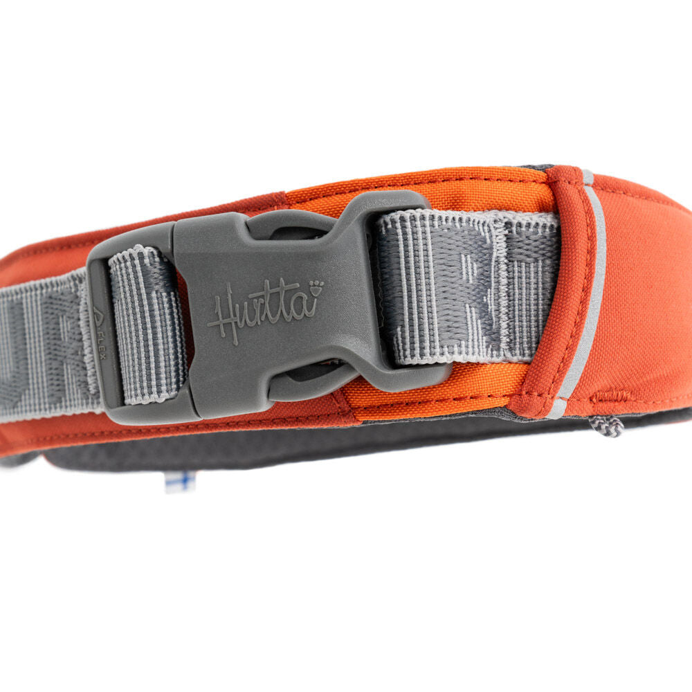 Rover Collar product image