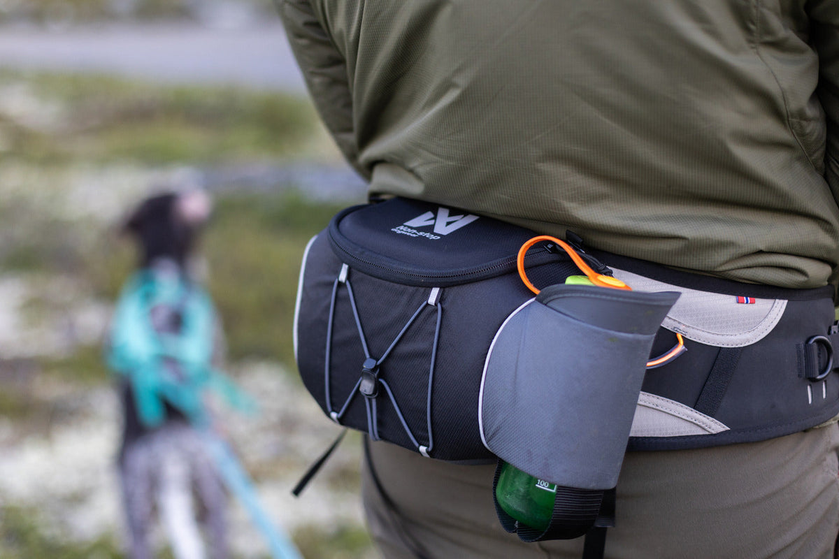 Belt bag product image