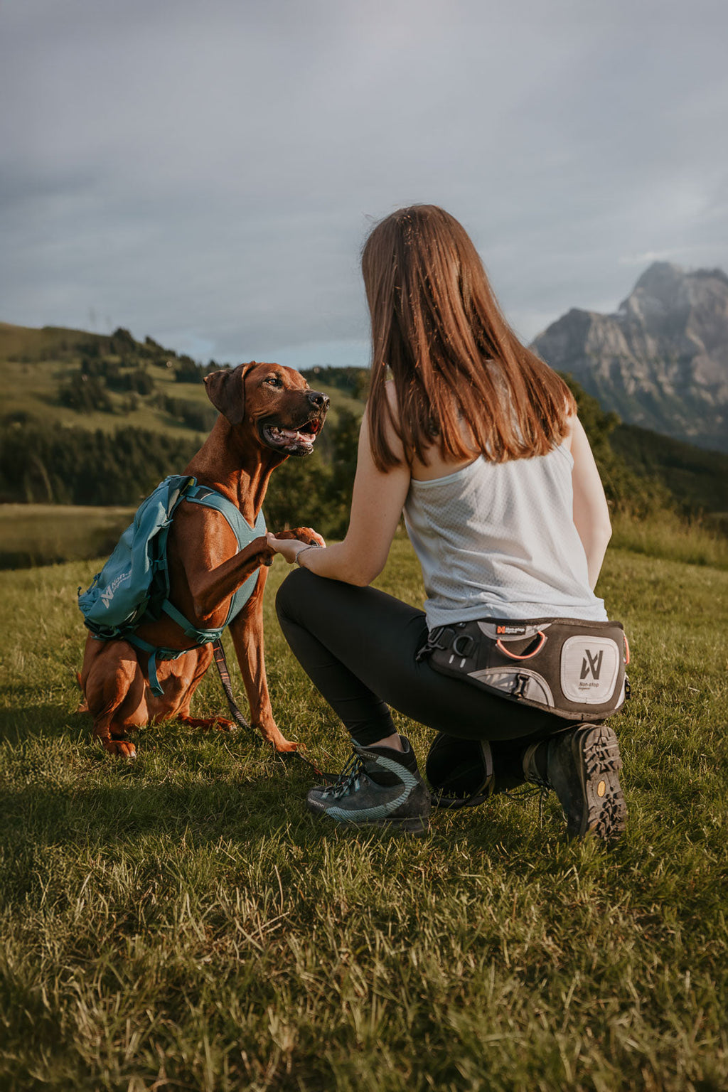 Explore belt product image