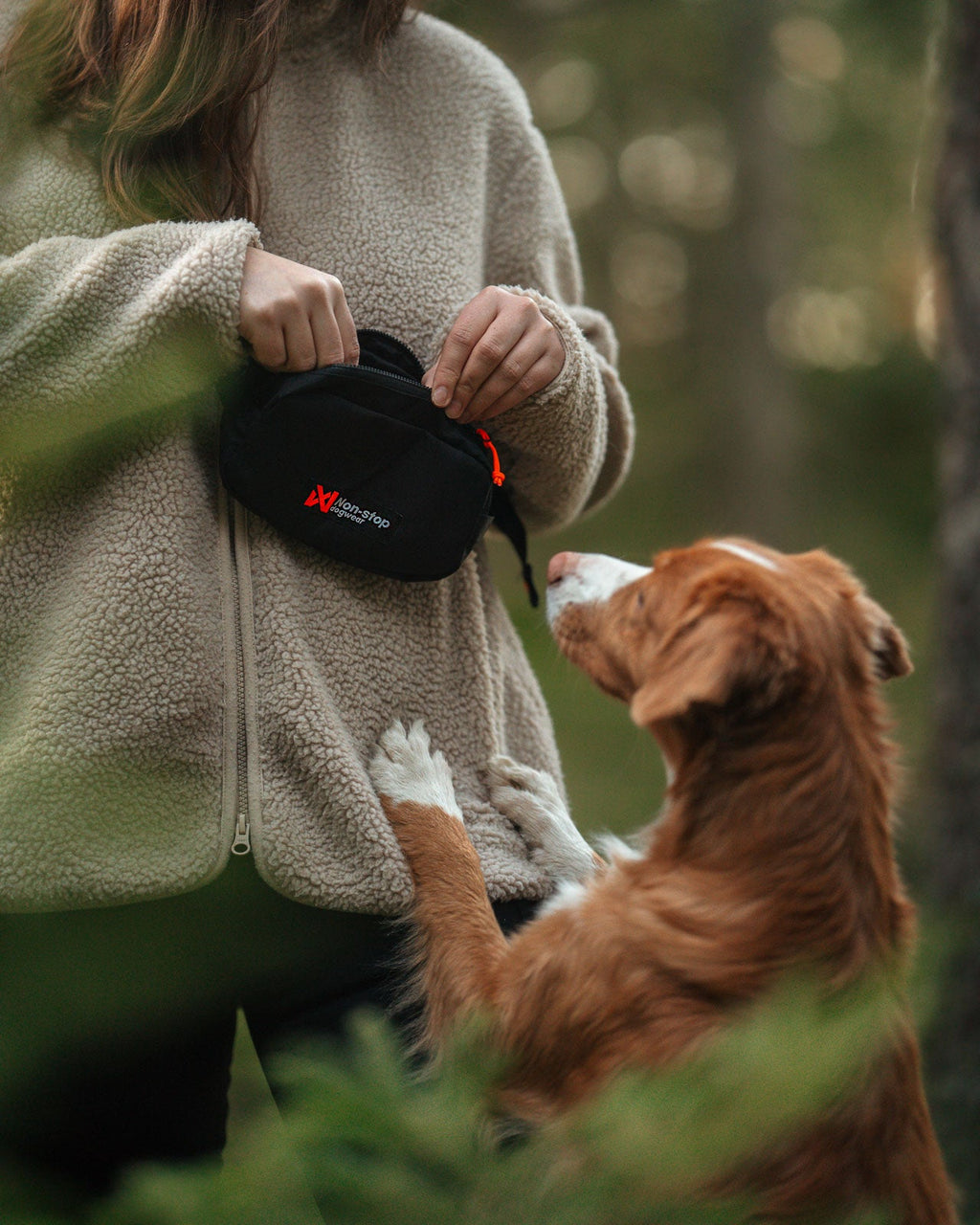 Trail quest fanny pack product image