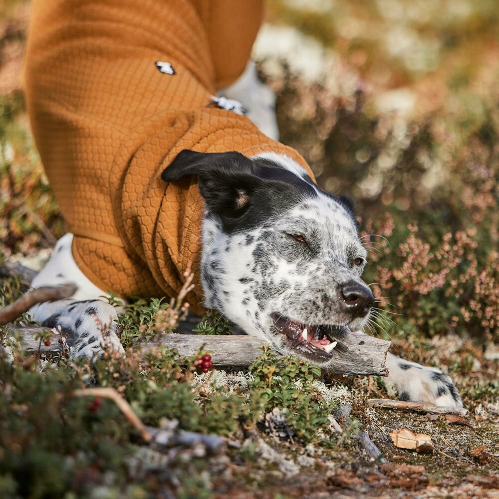 Warming Midlayer ECO Dog Jacket product image