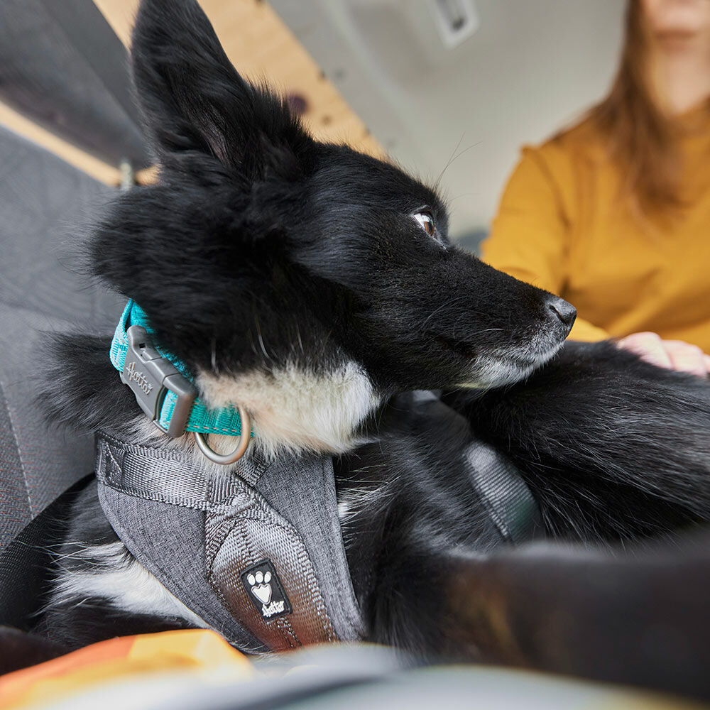 Travel Harness ECO product image