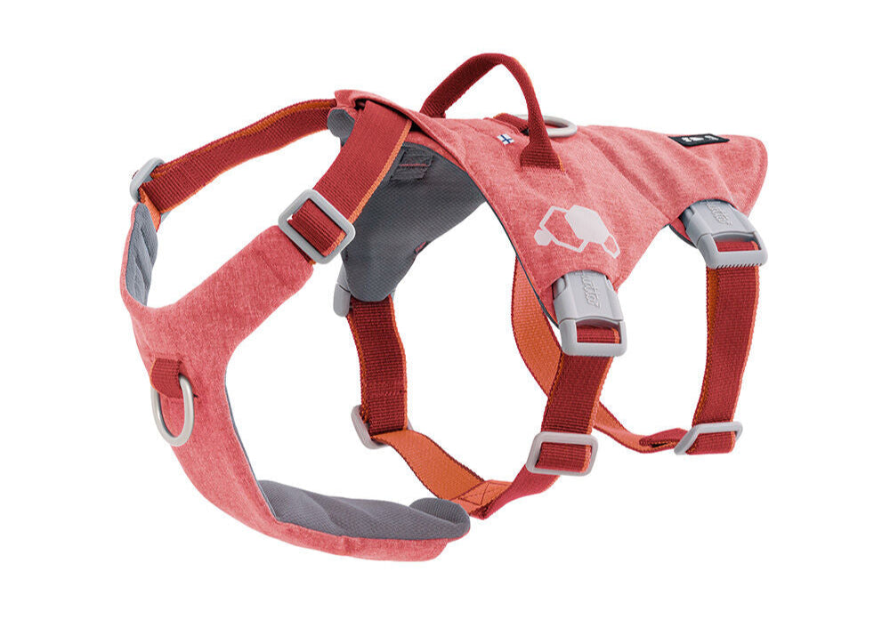 Safeguard Harness ECO product image