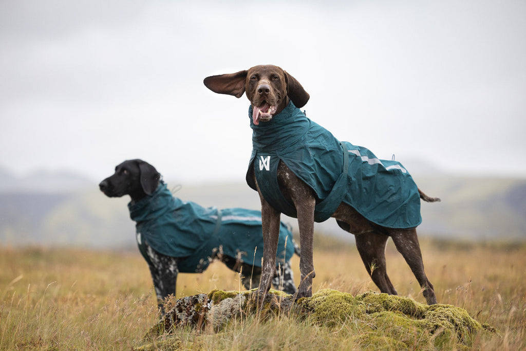 Fjord lined raincoat product image