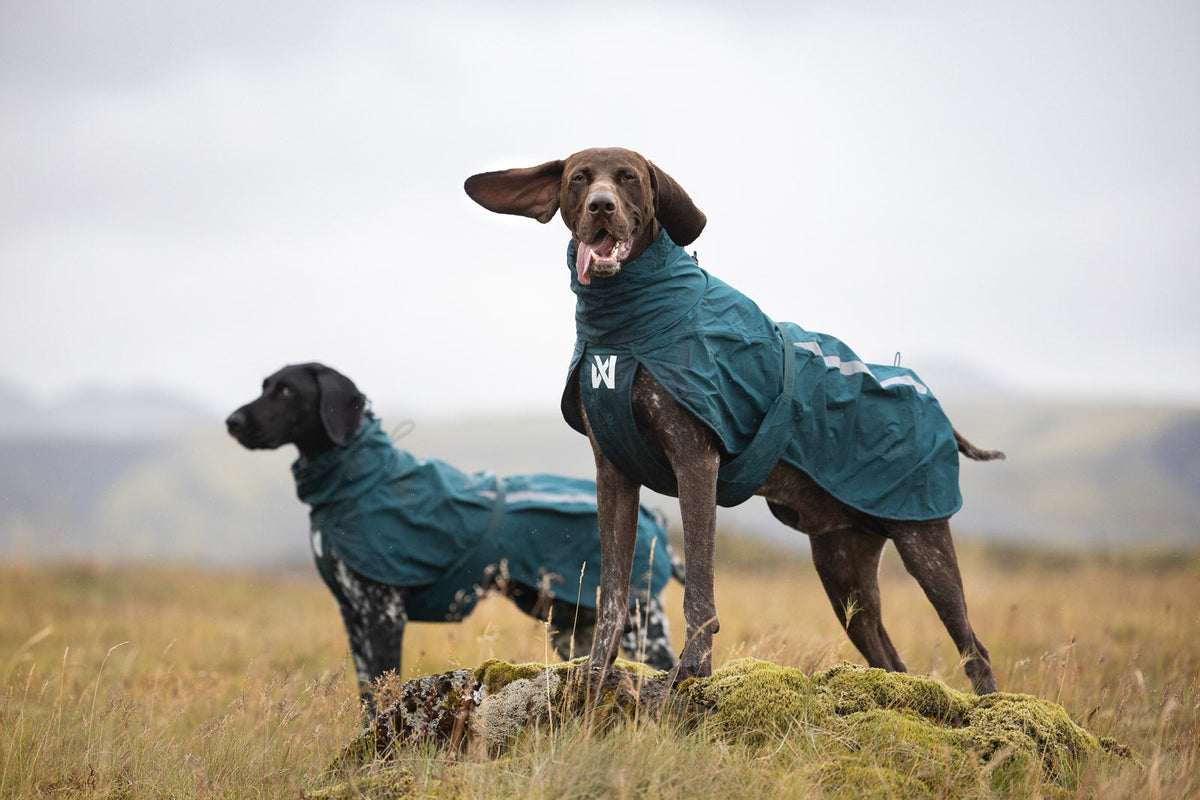 Fjord lined raincoat product image