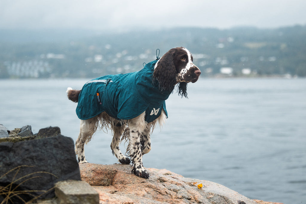 Fjord lined raincoat product image