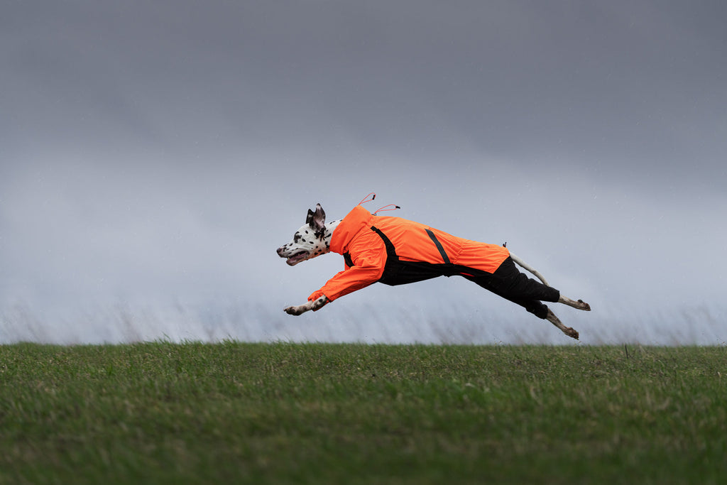 Fjord overall raincoat product image