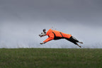 Fjord overall raincoat product image