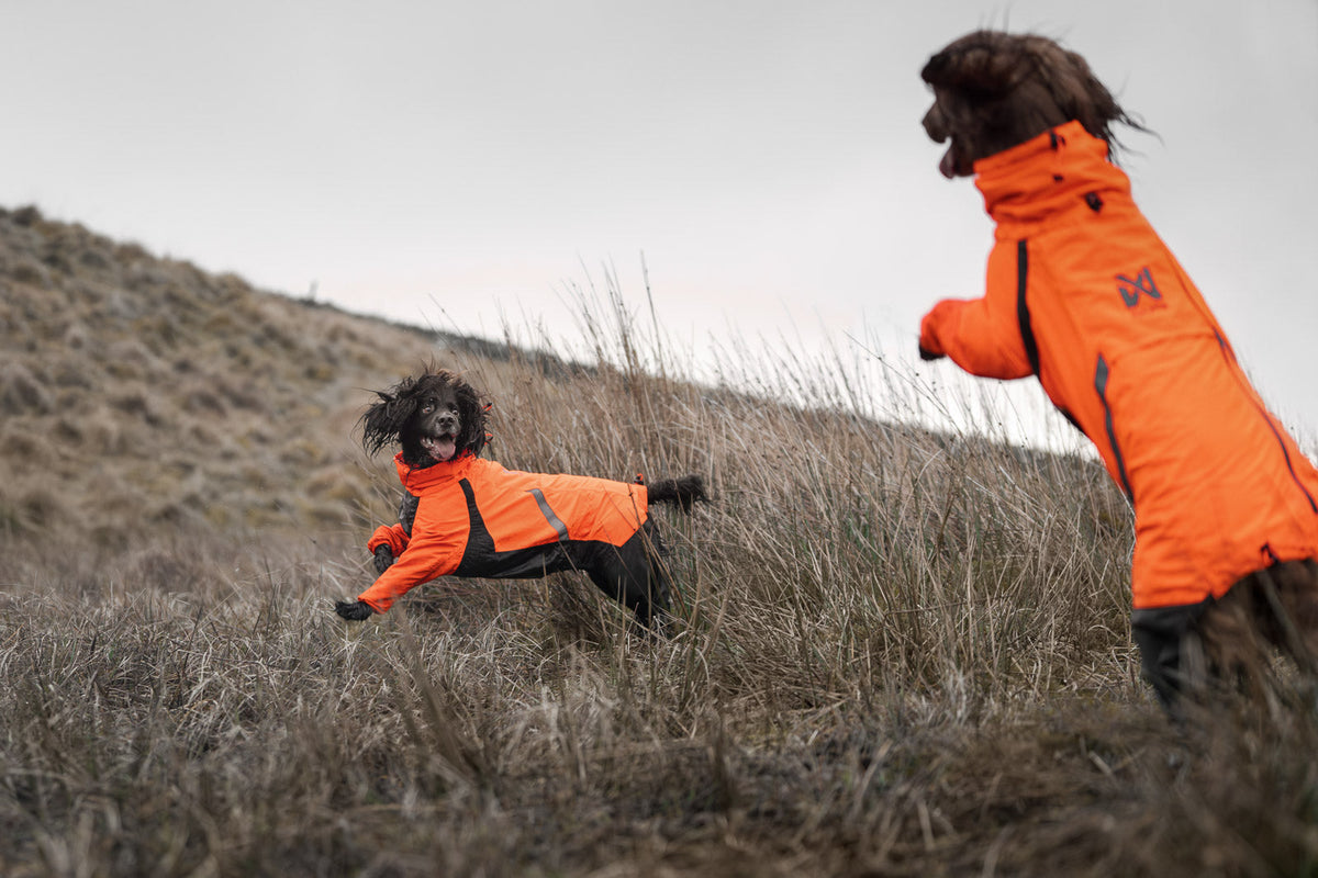 Fjord overall raincoat product image