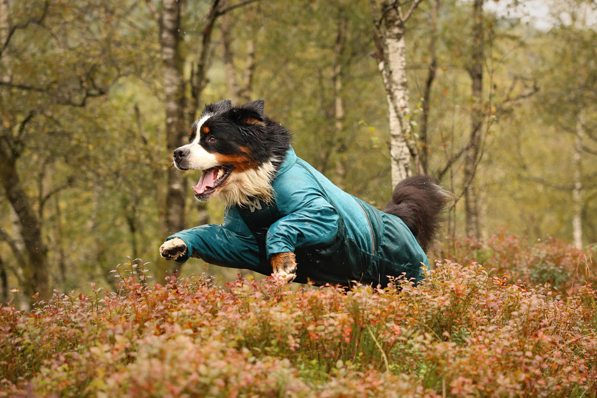 Fjord overall raincoat product image