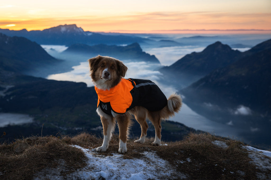 Fjord raincoat 2.0 product image