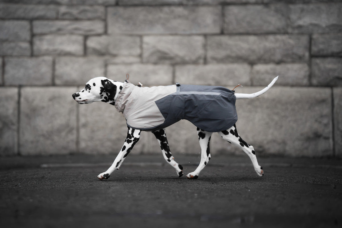 Fjord raincoat 2.0 product image
