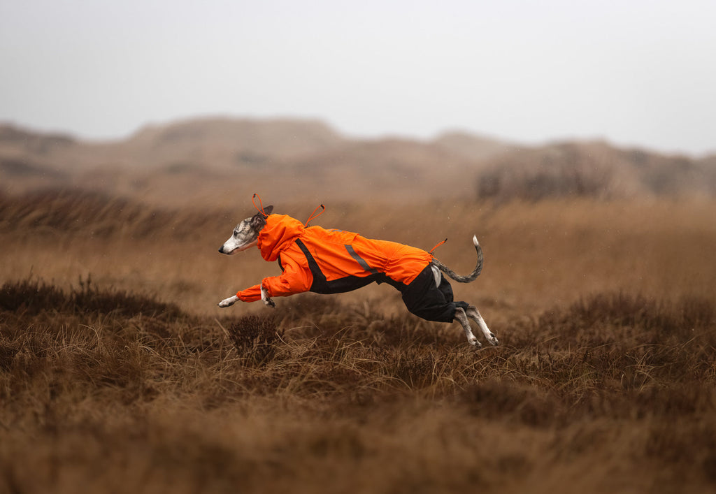 Fjord overall raincoat product image