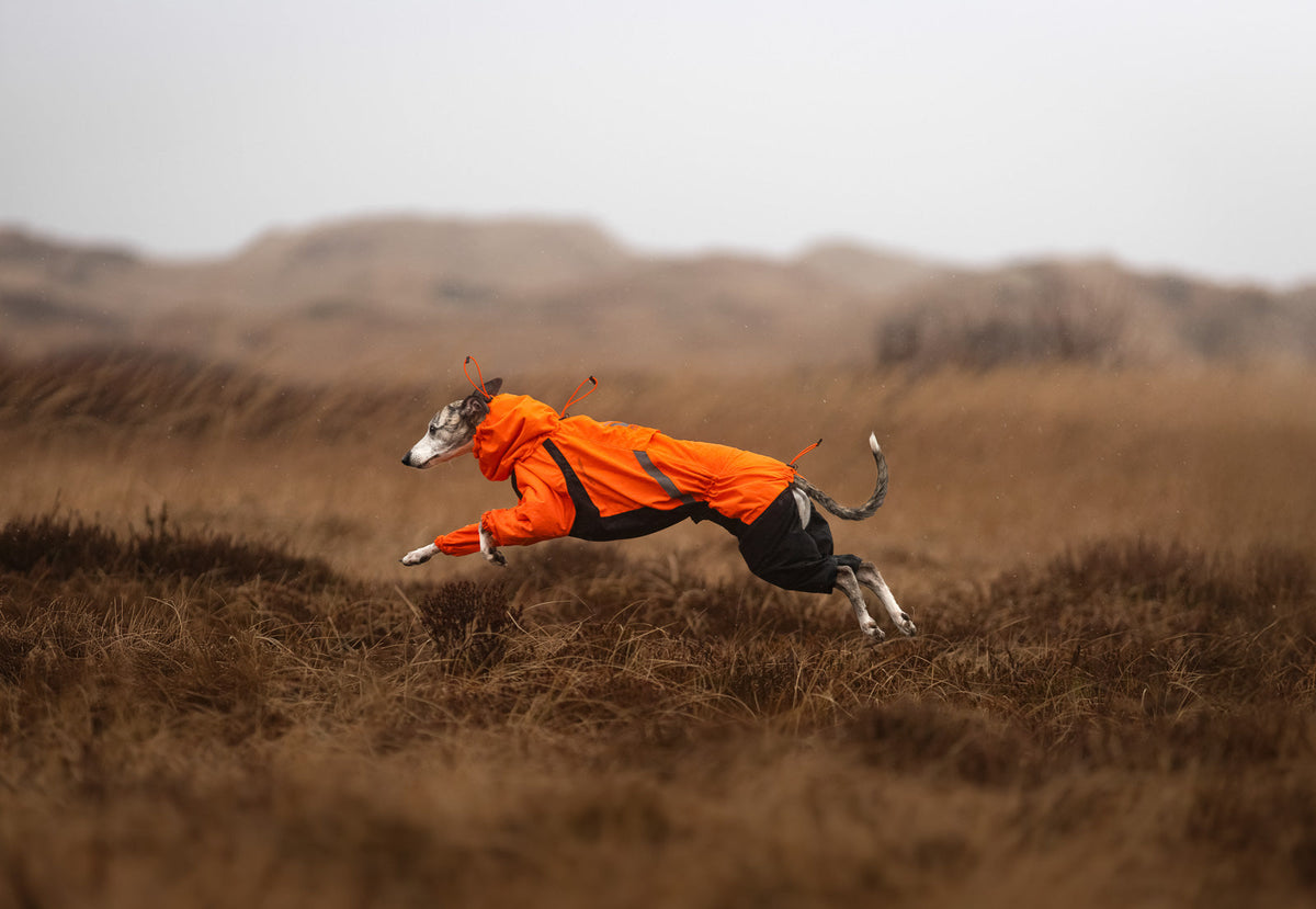 Fjord overall raincoat product image