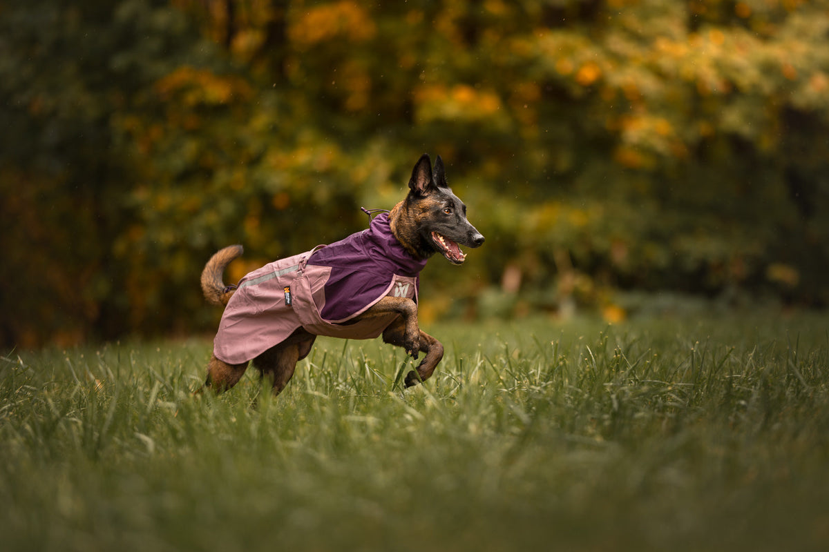 Fjord raincoat 2.0 product image