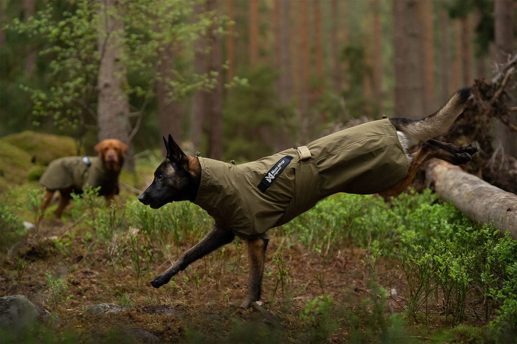 Fjord raincoat WD product image