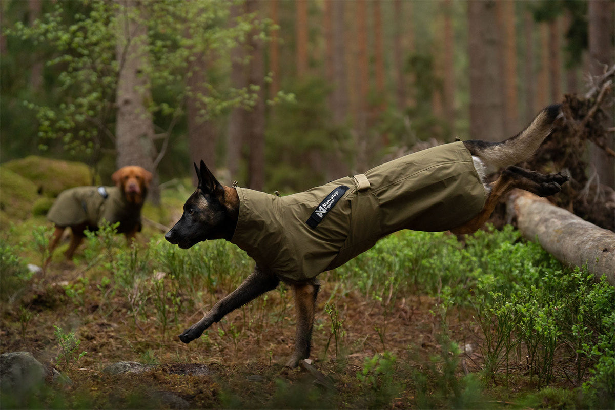 Fjord raincoat WD product image