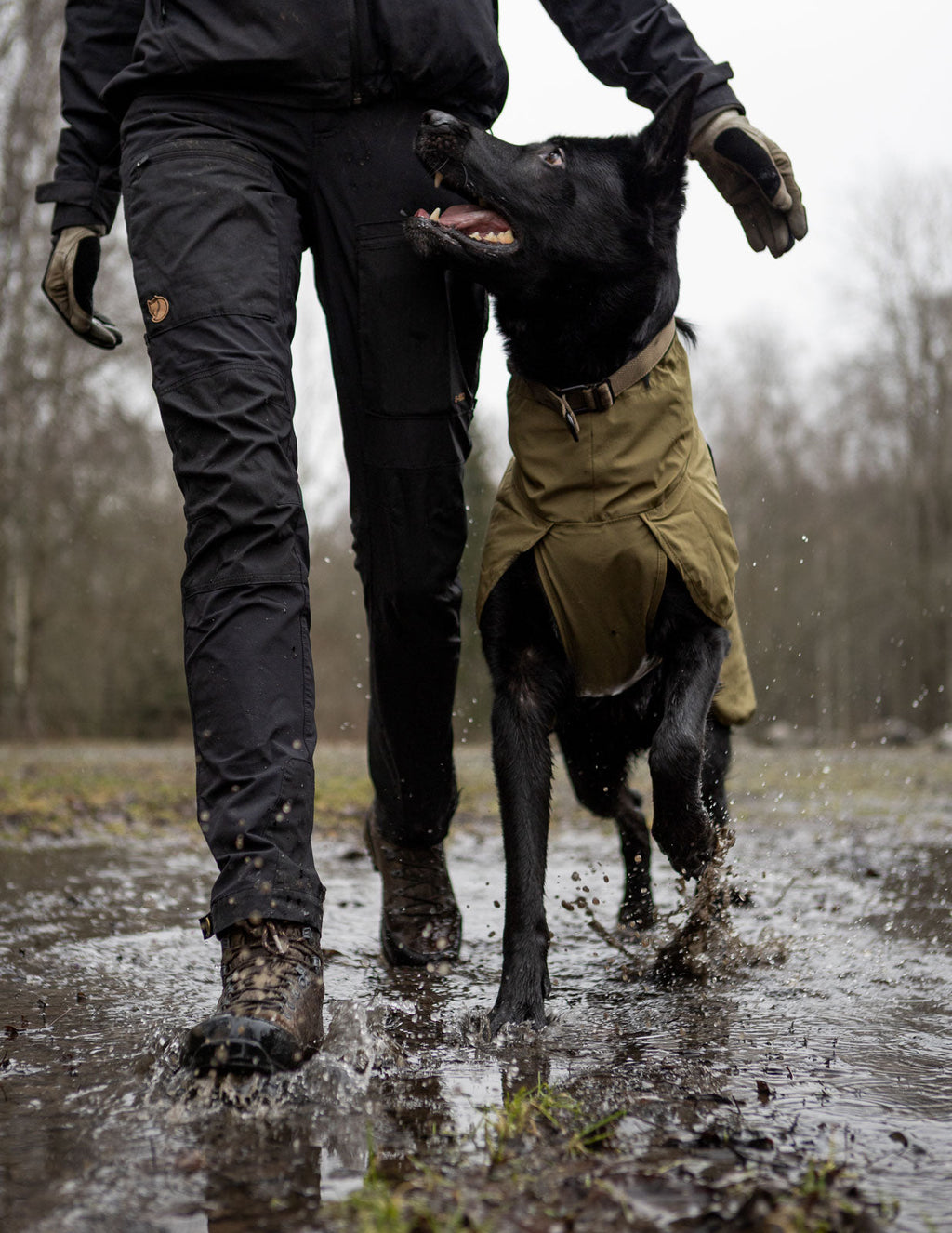 Fjord raincoat WD product image