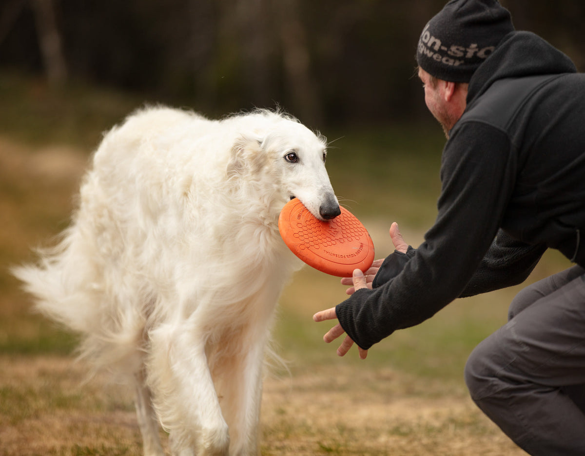 Dog flying disc product image