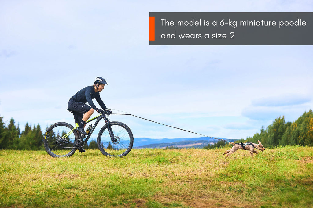 Freemotion harness product image