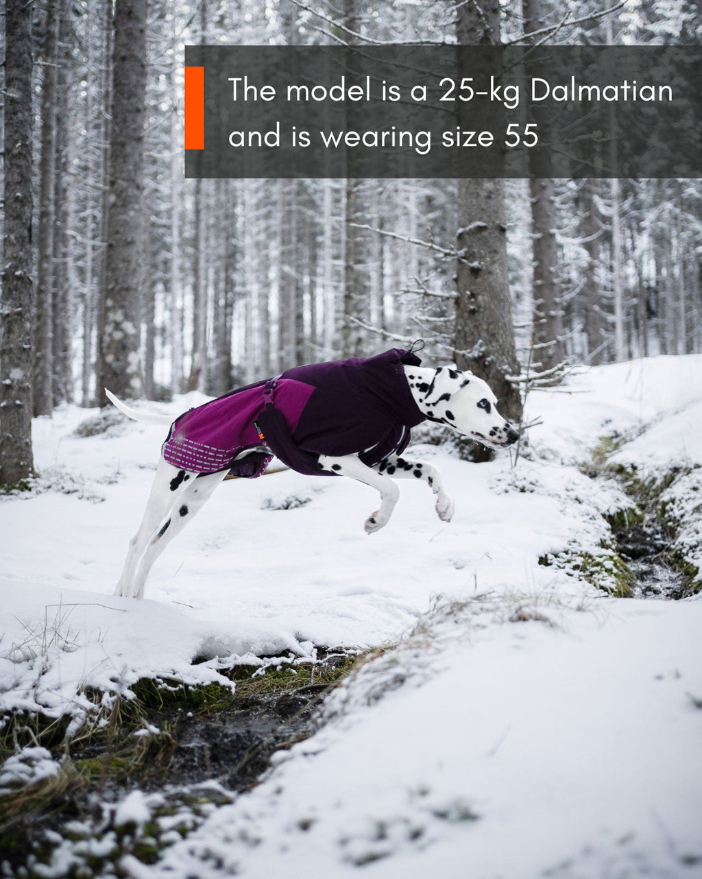 Glacier jacket 2.0 product image