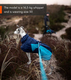 Glacier jacket 2.0 product image