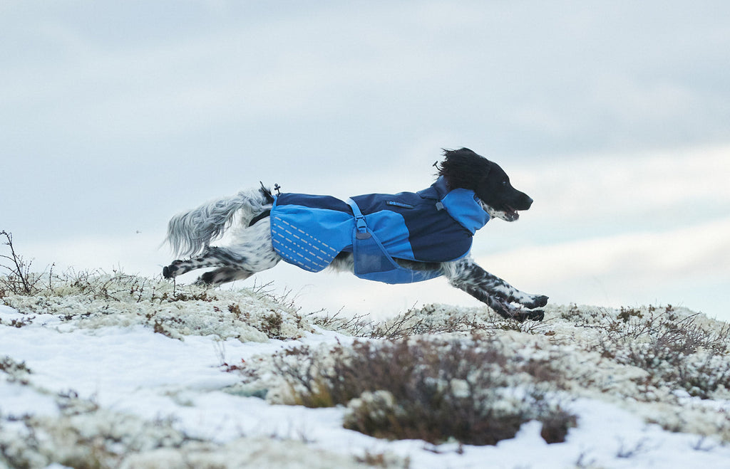Glacier jacket product image