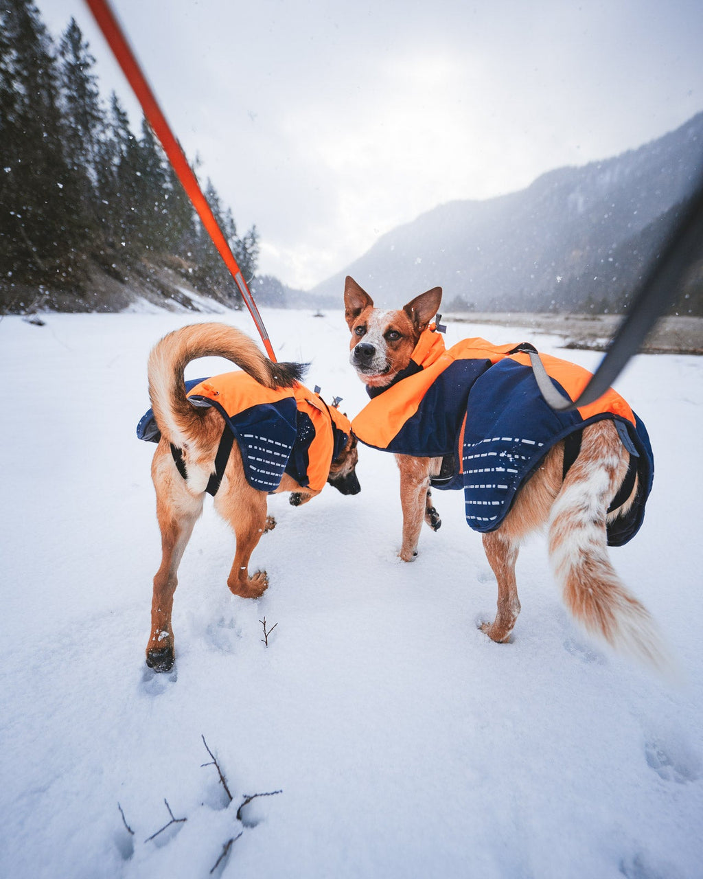 Glacier jacket product image