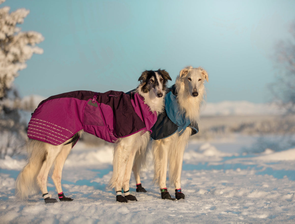 Glacier jacket product image