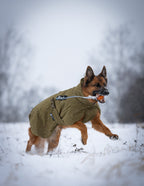 Glacier dog jacket WD product image