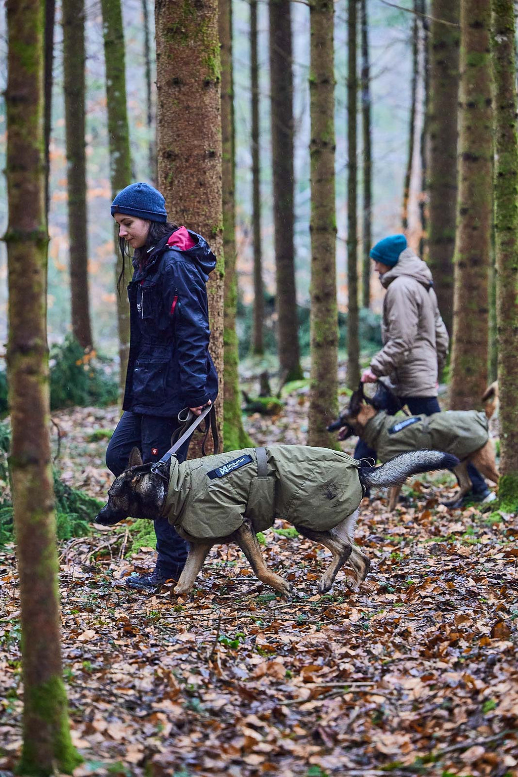Glacier dog jacket WD product image