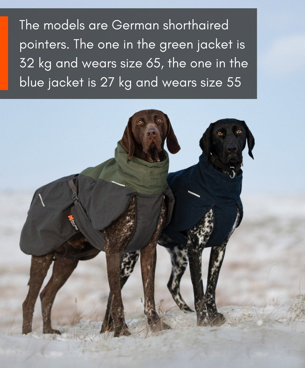 Glacier wool jacket 2.0 product image