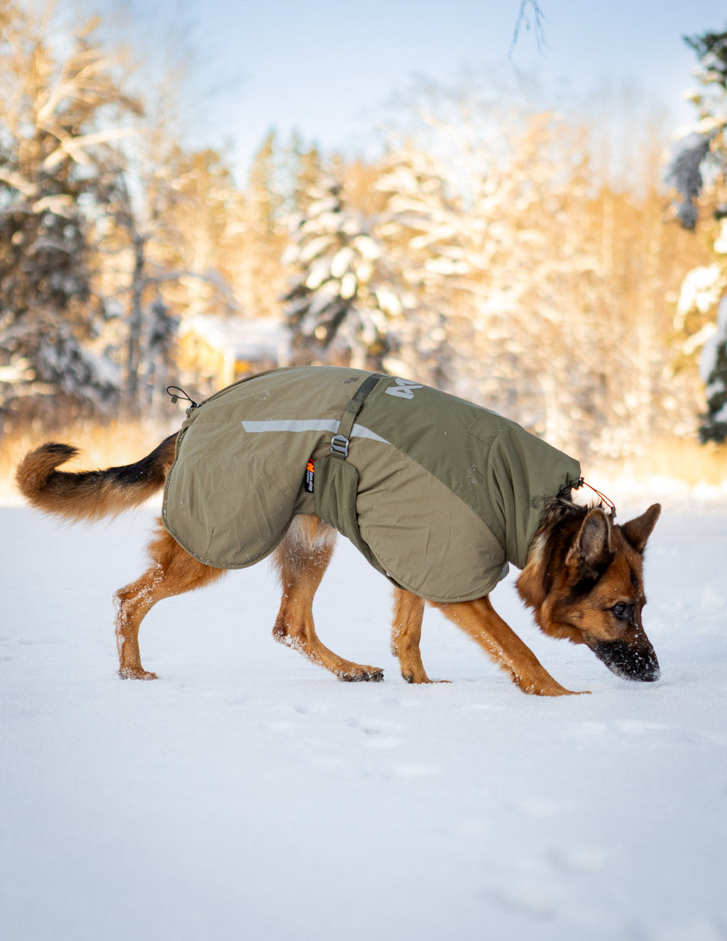Glacier wool jacket 3.0 product image