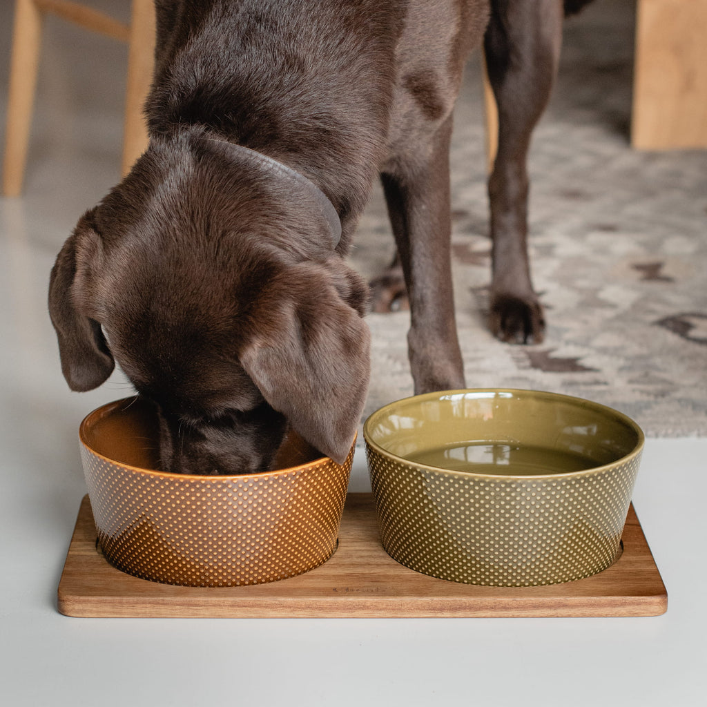 Wooden Dog Station Acacia Wood product image