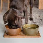 Wooden Dog Station Acacia Wood product image