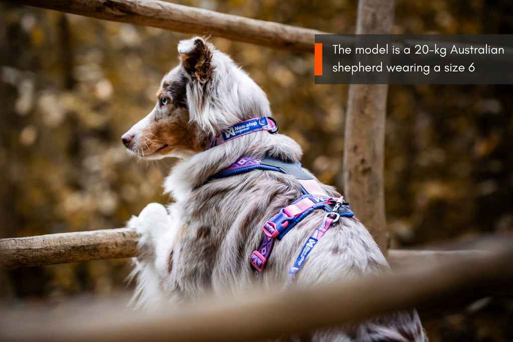 Line harness 5.0 Rachel Pohl edition product image