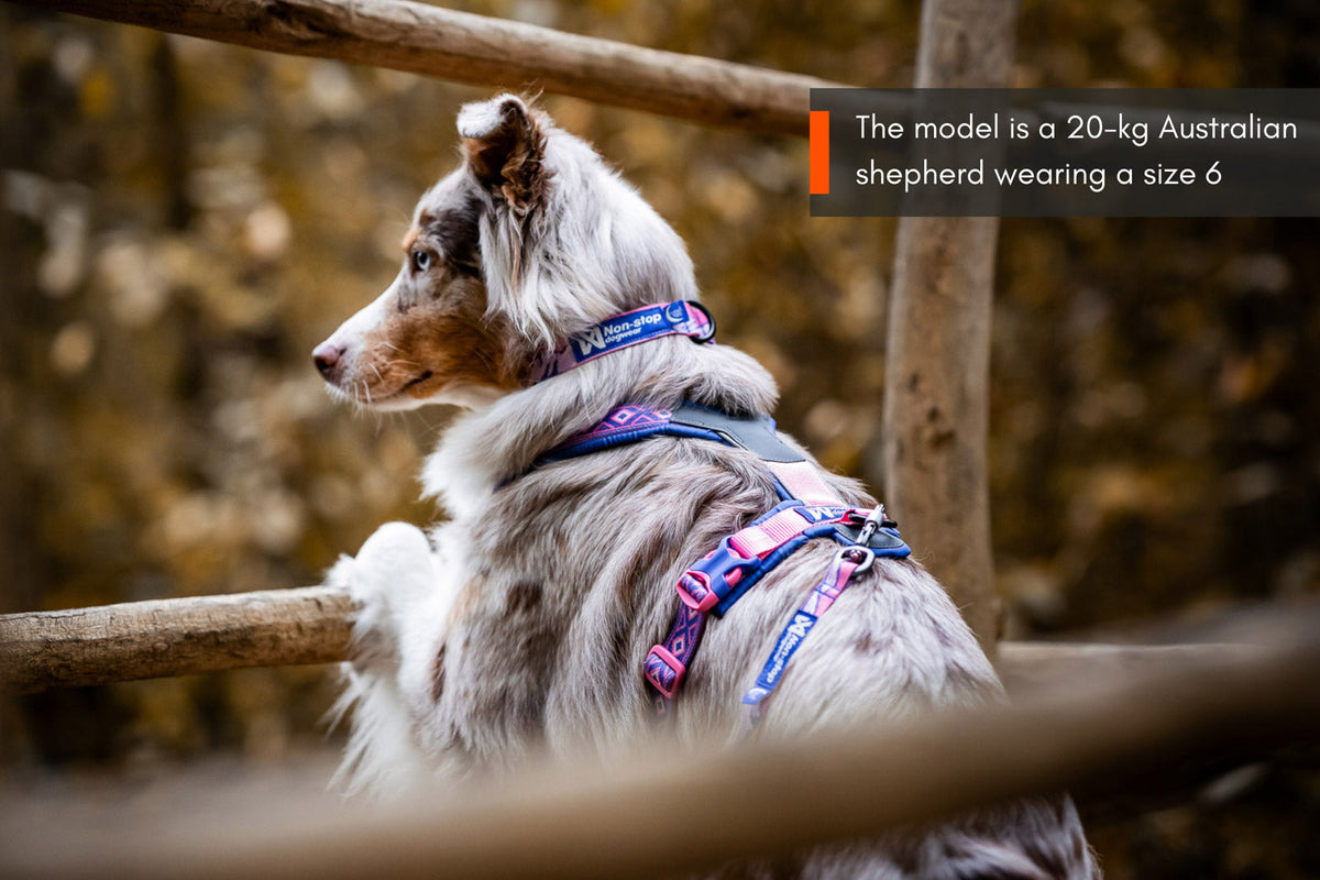 Line harness 5.0 Rachel Pohl edition product image