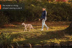 Line harness 5.0 Rachel Pohl edition product image