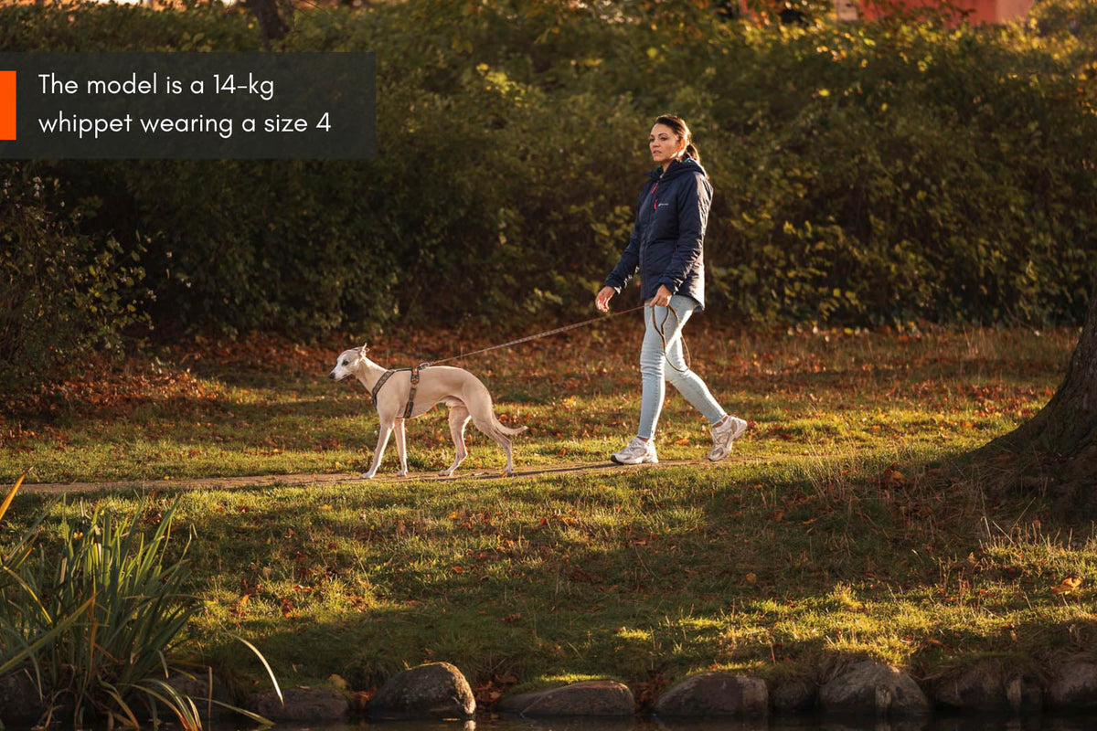 Line harness 5.0 Rachel Pohl edition product image