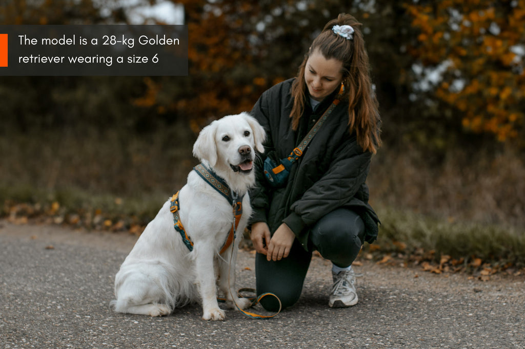 Line harness 5.0 Rachel Pohl edition product image