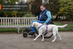 Line harness 5.0 Rachel Pohl edition product image