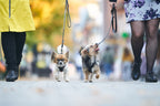 Line harness product image